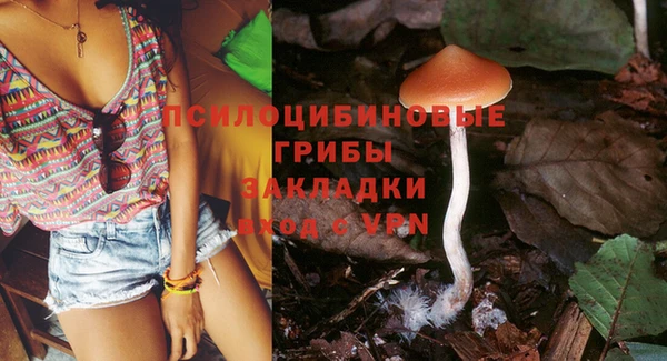 гидропоника Алексеевка