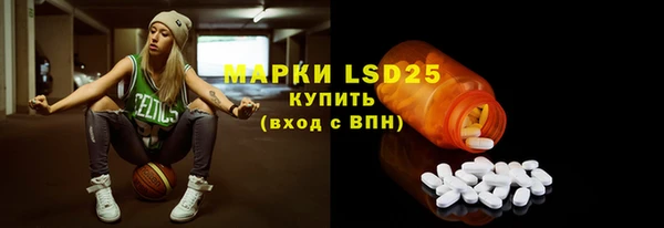 PSILOCYBIN Алзамай