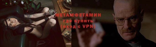 PSILOCYBIN Алзамай