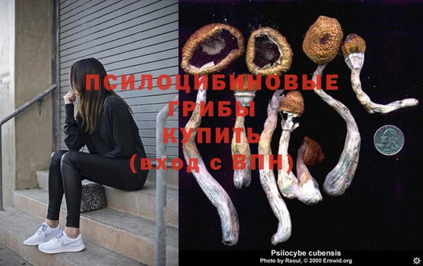 гидропоника Алексеевка