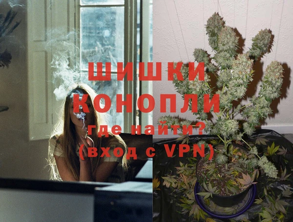 PSILOCYBIN Алзамай