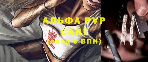 PSILOCYBIN Алзамай