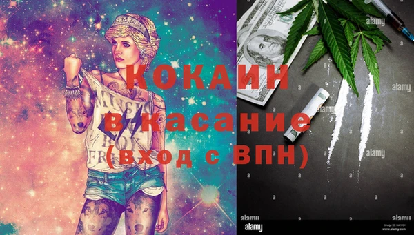 PSILOCYBIN Алзамай