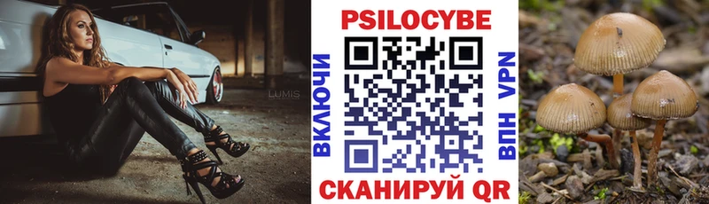 ссылка на мегу сайт  Менделеевск  Псилоцибиновые грибы Psilocybine cubensis  хочу  